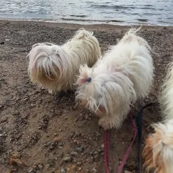 Gardin Beach - Sault Ste. Marie