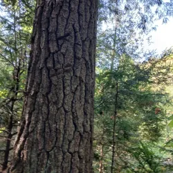 Hiawatha Highlands Conservation Area - Sault Ste. Marie