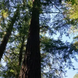 Hiawatha Highlands Conservation Area - Sault Ste. Marie