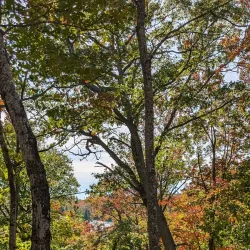 Hiawatha Highlands Conservation Area - Sault Ste. Marie