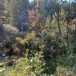 Hiawatha Highlands Conservation Area - Sault Ste. Marie