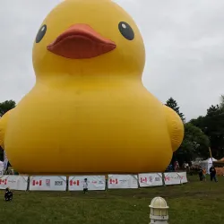 The Art Gallery of Algoma - Sault Ste. Marie