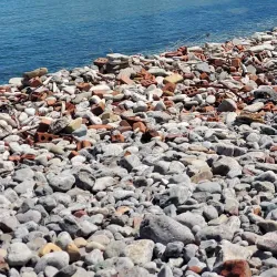 Bluffer's Park - Scarborough