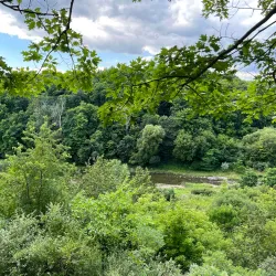 Morningside Park - Scarborough