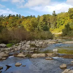 Morningside Park - Scarborough