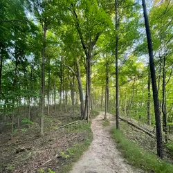 Morningside Park - Scarborough