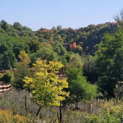 Morningside Park - Scarborough