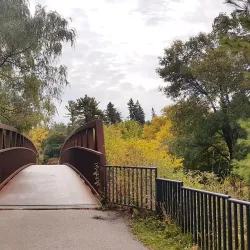 Morningside Park - Scarborough