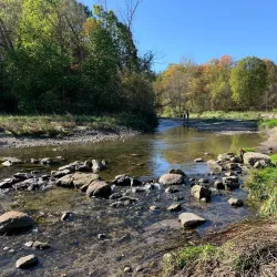 Morningside Park - Scarborough
