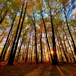 Rouge National Urban Park - Scarborough
