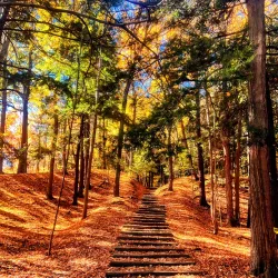 Rouge National Urban Park - Scarborough