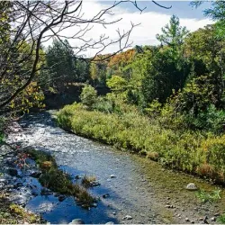 Rouge National Urban Park - Scarborough