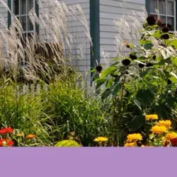 Scarborough Museum - Scarborough