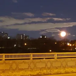 Thorncliffe Park - Scarborough