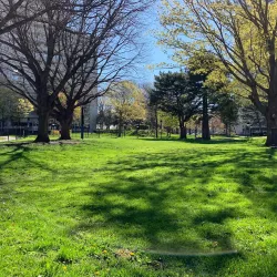 Thorncliffe Park - Scarborough