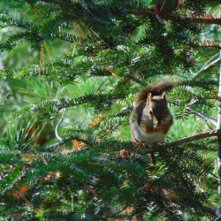 Lake Peter - Schefferville