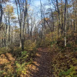 Local Hiking Trails - Schefferville