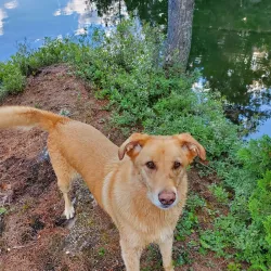 Local Hiking Trails - Schefferville