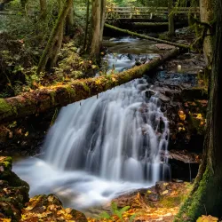 Cliff Gilker Park - Sechelt