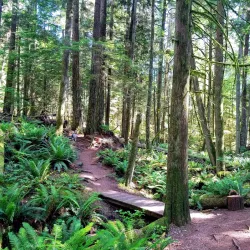 Cliff Gilker Park - Sechelt