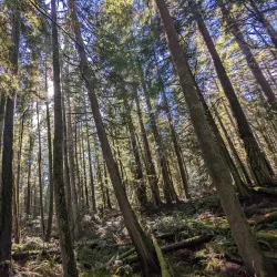 Cliff Gilker Park - Sechelt