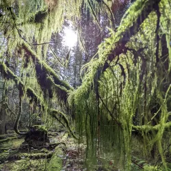 Cliff Gilker Park - Sechelt