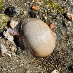 Porpoise Bay Provincial Park - Sechelt