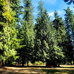 Porpoise Bay Provincial Park - Sechelt