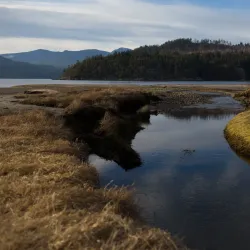 Porpoise Bay Provincial Park - Sechelt
