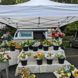 Sechelt Farmers & Artisans Market - Sechelt