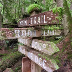 Sechelt Heritage Forest - Sechelt