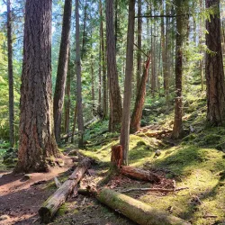 Sechelt Heritage Forest - Sechelt