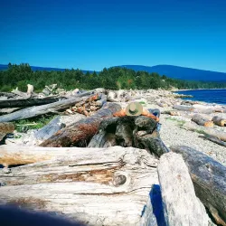 Sechelt Marina - Sechelt