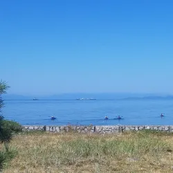 Sechelt Marina - Sechelt