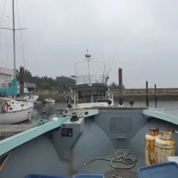 Sechelt Marina - Sechelt