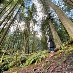 Skookumchuck Narrows Provincial Park - Sechelt
