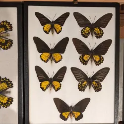 Sunshine Coast Museum & Archives - Sechelt