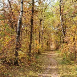 Birds Hill Provincial Park - Selkirk