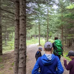 Hiking and Nature Trails - Senneterre