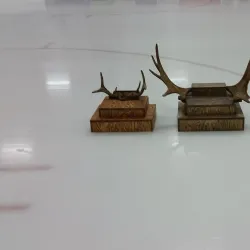 Senneterre Community Center - Senneterre