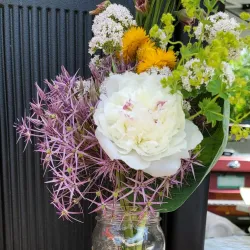 Shelburne Farmers' Market - Shelburne