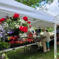 Shelburne Farmers' Market - Shelburne