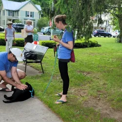 Shelburne Farmers' Market - Shelburne