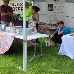 Shelburne Farmers' Market - Shelburne