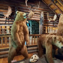 Shelburne Museum - Shelburne