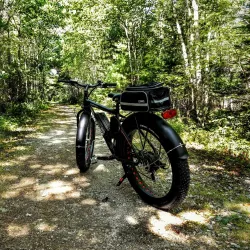 Shelburne Trail System - Shelburne