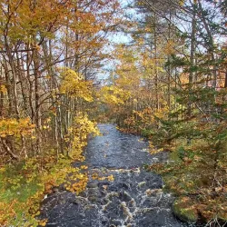 Shelburne Trail System - Shelburne