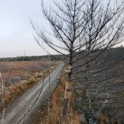 Shelburne Trail System - Shelburne