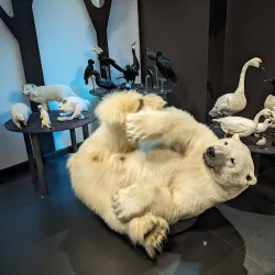 Musée de la nature et des sciences de Sherbrooke - Sherbrooke