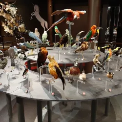 Musée de la nature et des sciences de Sherbrooke - Sherbrooke